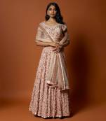Baby Pink 3D Rose Embroidered Lehenga Set