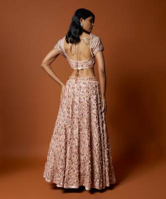 Baby Pink 3D Rose Embroidered Lehenga Set 2