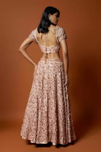 Baby Pink 3D Rose Embroidered Lehenga Set
