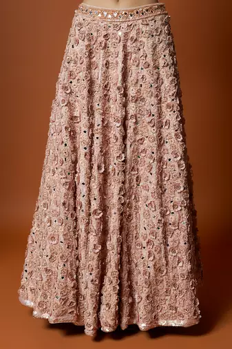Baby Pink 3D Rose Embroidered Lehenga Set