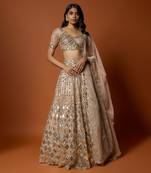 Gold Embroidered Lehenga Set