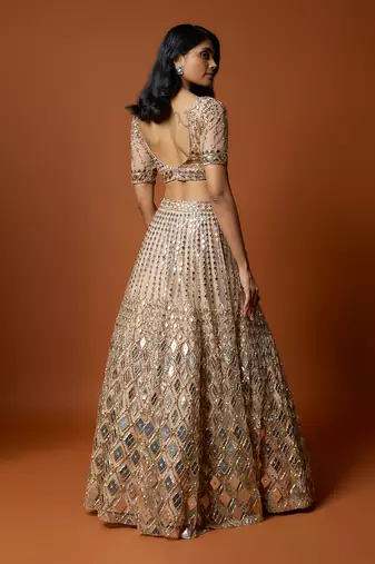 Gold Embroidered Lehenga Set