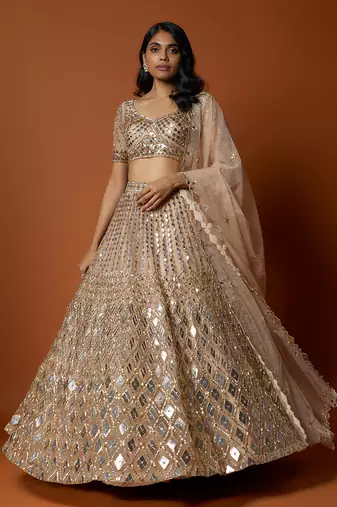 Gold Embroidered Lehenga Set