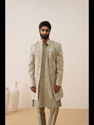 Pista chikankari work front open indowestern 1