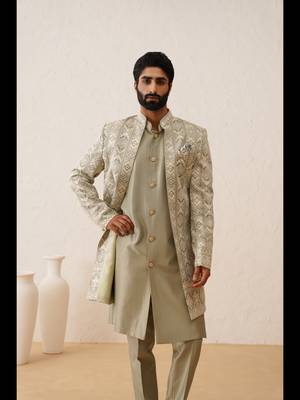 Pista chikankari work front open indowestern 4