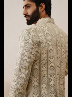 Pista chikankari work front open indowestern 5