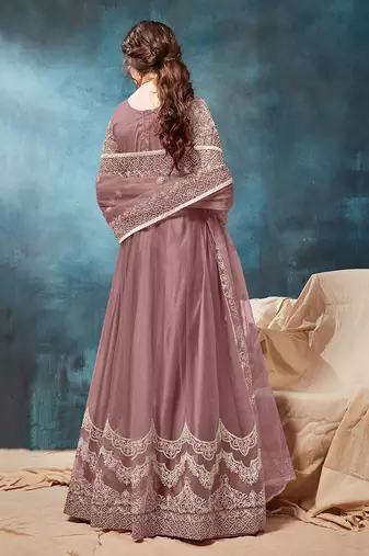 Net embroidered chikoo anarkali dress