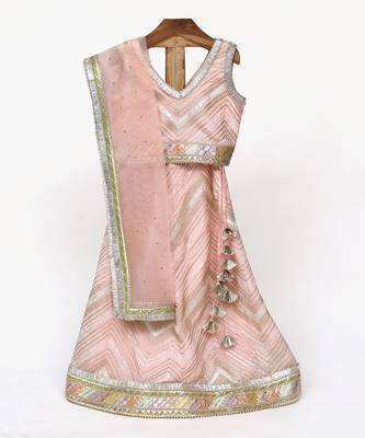 Baby pink chinon lehenga set 1