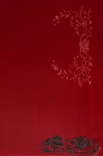 Maroon heavy resham embroidery work georgette saree