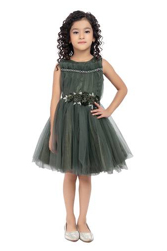 Betty beetle colored flower patch net frock
