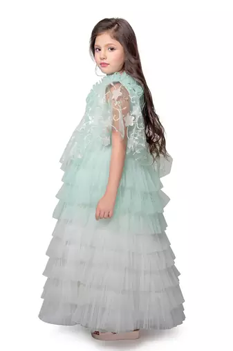 Betty pista colored embroidered net gown along with dupatta