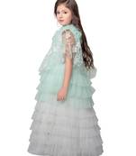 Betty pista colored embroidered net gown along with dupatta