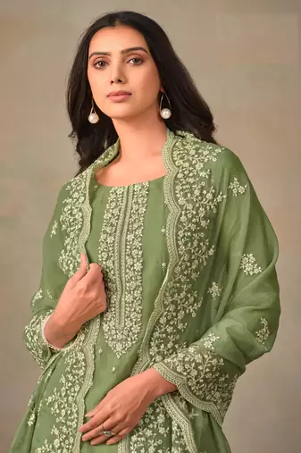 Sage Green Organza Zari Work Embroidered Salwar Suit