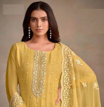 Yellow Organza Salwar Suit Zari Embroidery 2