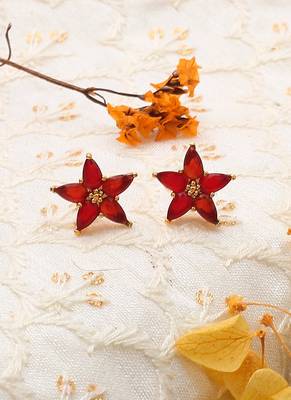 Star Shaped Red Earrings 1