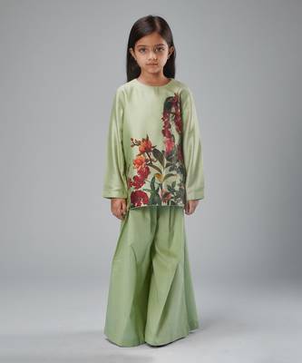 Mint greenchanderi printet sharara set 4