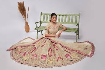 This Bridal Orgenza Silk fabric and paisley Motifs of zari work 2