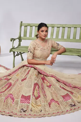 This Bridal Orgenza Silk fabric and paisley Motifs of zari work