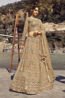 Beige Embroidered Net Circular Lehenga With Blouse Up To 42" Size 1