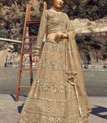 Beige Embroidered Net Circular Lehenga With Blouse Up To 42" Size