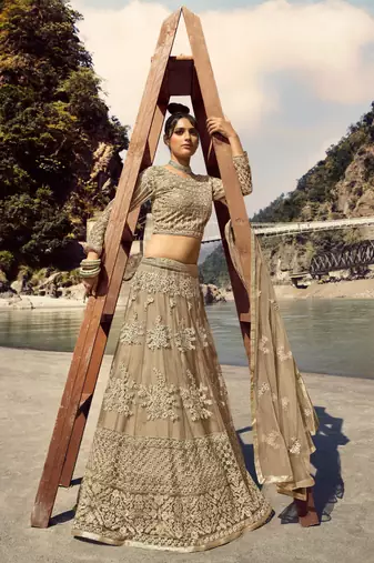 Beige Embroidered Net Circular Lehenga With Blouse Up To 42" Size