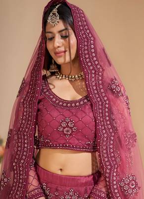 Pink Net Embroidery Designer Lehenga choli 2