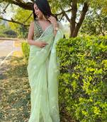 Elora Pure Organza Silk Paisley Embroidered Bollywood Lace Border Saree (Light Green)