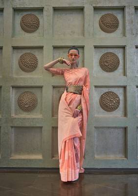 Rajtex Light Orange Woven Chikankari-Saris With Blouse 2