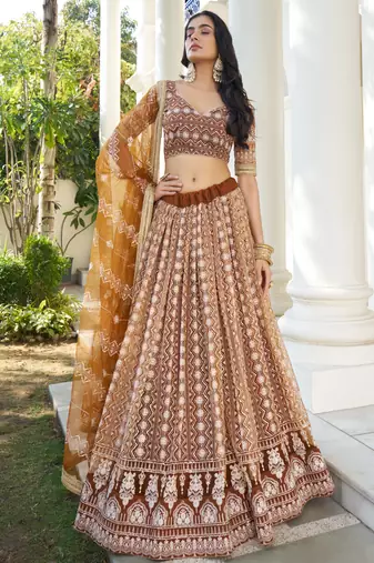 Brown Butterfly Net Embroidery Thread Designer Lehenga