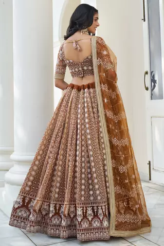 Brown Butterfly Net Embroidery Thread Designer Lehenga