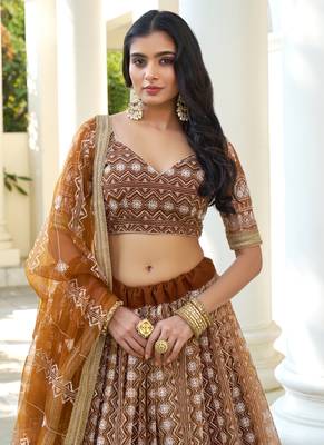 Brown Butterfly Net Embroidery Thread Designer Lehenga 4