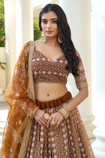 Brown Butterfly Net Embroidery Thread Designer Lehenga