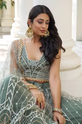 Dusty Green Butterfly Net Embroidery Thread Designer Lehenga