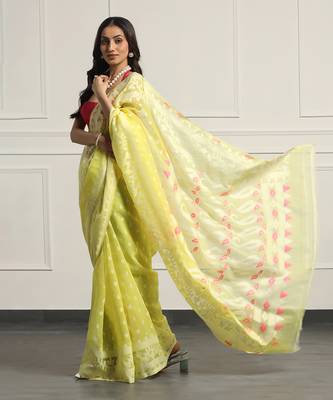 Multicolor  silk handloom jamdani on resham silk 2