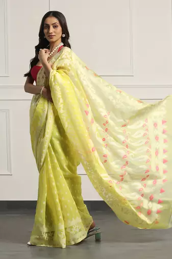 Multicolor  silk handloom jamdani on resham silk