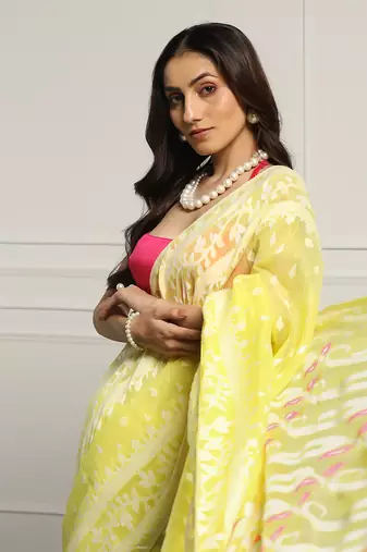 Multicolor  silk handloom jamdani on resham silk