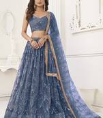 Light Blue Butterfly Net Embroidery Sequins Designer Lehenga