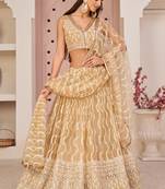 Beige Butterfly Net Embroidery Thread Designer Lehenga