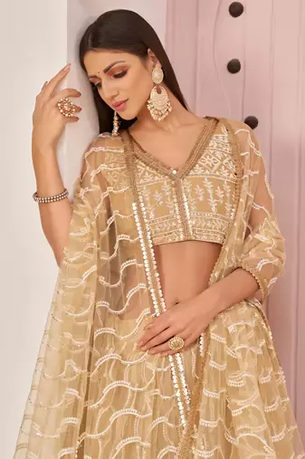 Beige Butterfly Net Embroidery Thread Designer Lehenga