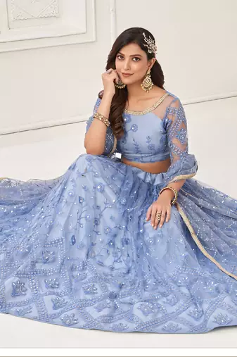 Sky Blue Butterfly Net Embroidery Thread Designer Lehenga