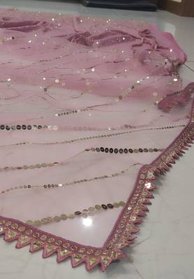 Light-Pink Georgette Lehenga Choli With Silver Sequin Embroidery 10