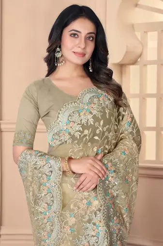 Beige Sequin Zari Resham Stone Embroidered Border Net Party Wear Saree With Matching Blouse Piece