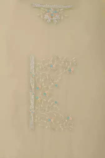 Beige Sequin Zari Resham Stone Embroidered Border Net Party Wear Saree With Matching Blouse Piece