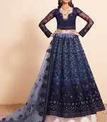 Blue Net Embroidered Wedding Lehenga Choli