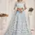 Light Sky Butterfly Net Embroidered Thread Wedding Lehenga