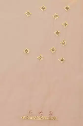 Beige resham zari stone embroidery work net saree