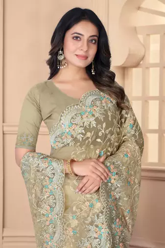 Beige heavy resham stone embroidery work net saree