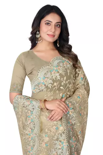Beige heavy resham stone embroidery work net saree