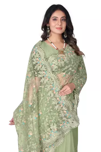 Pista green heavy resham stone embroidery work net saree