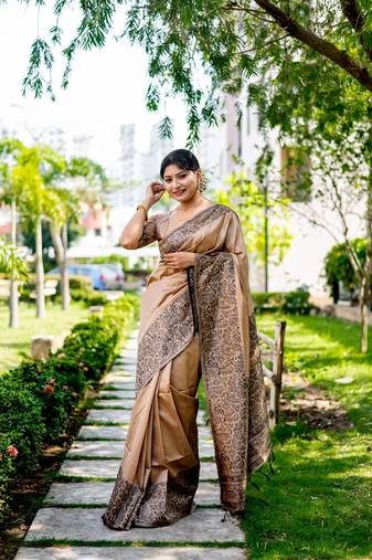 Chiku Handloom Silk Blend Weaving Saree Festive Wear